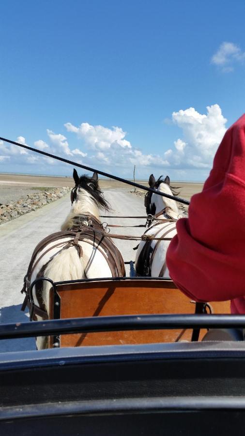Les Chevaux De L'Hippocampe Hotel Mont-Dol Bagian luar foto