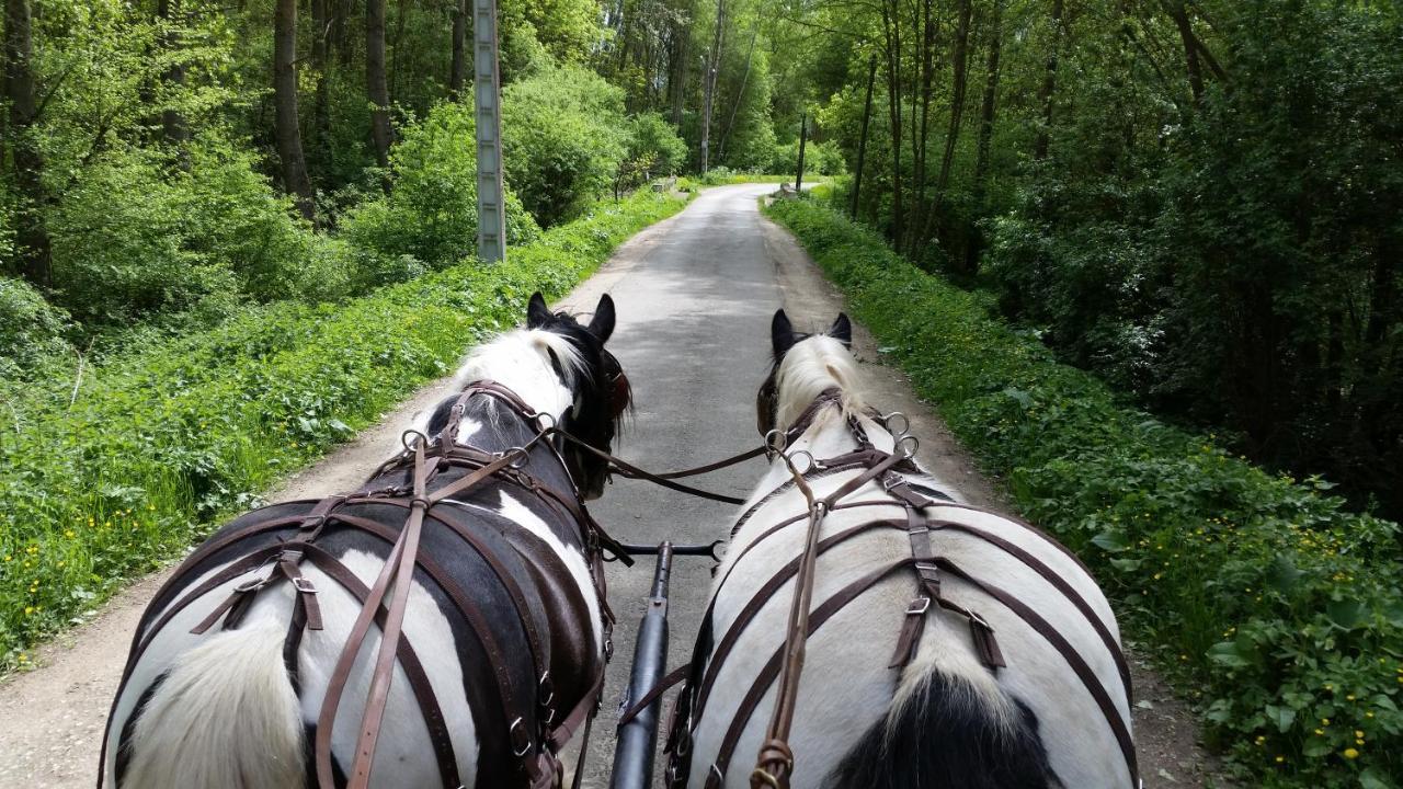 Les Chevaux De L'Hippocampe Hotel Mont-Dol Bagian luar foto